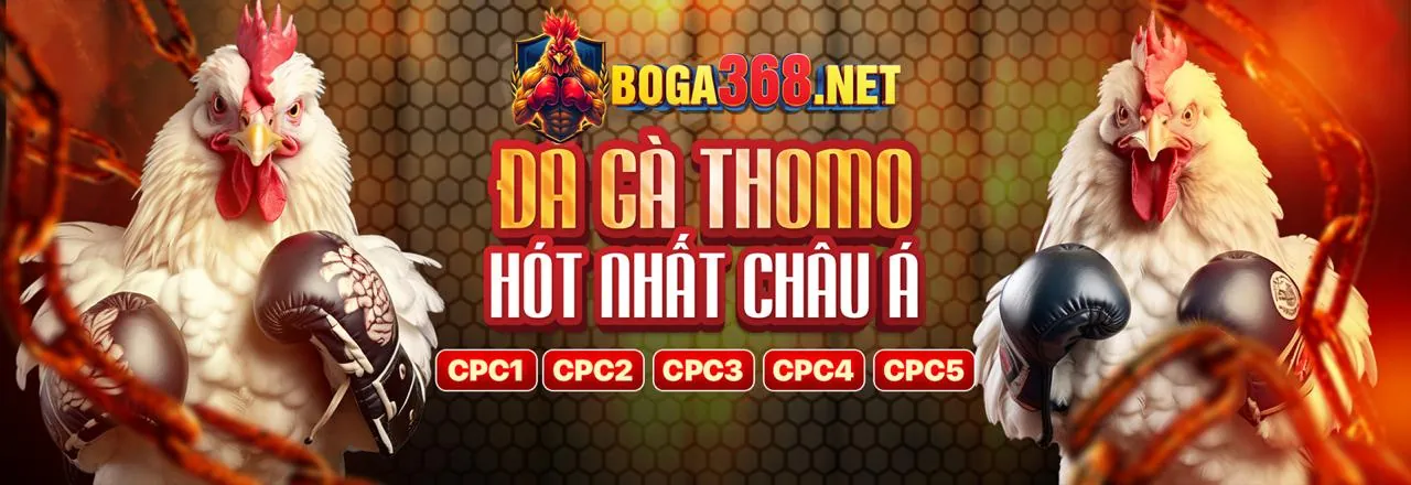 Sân đá gà trực tuyến Hello88